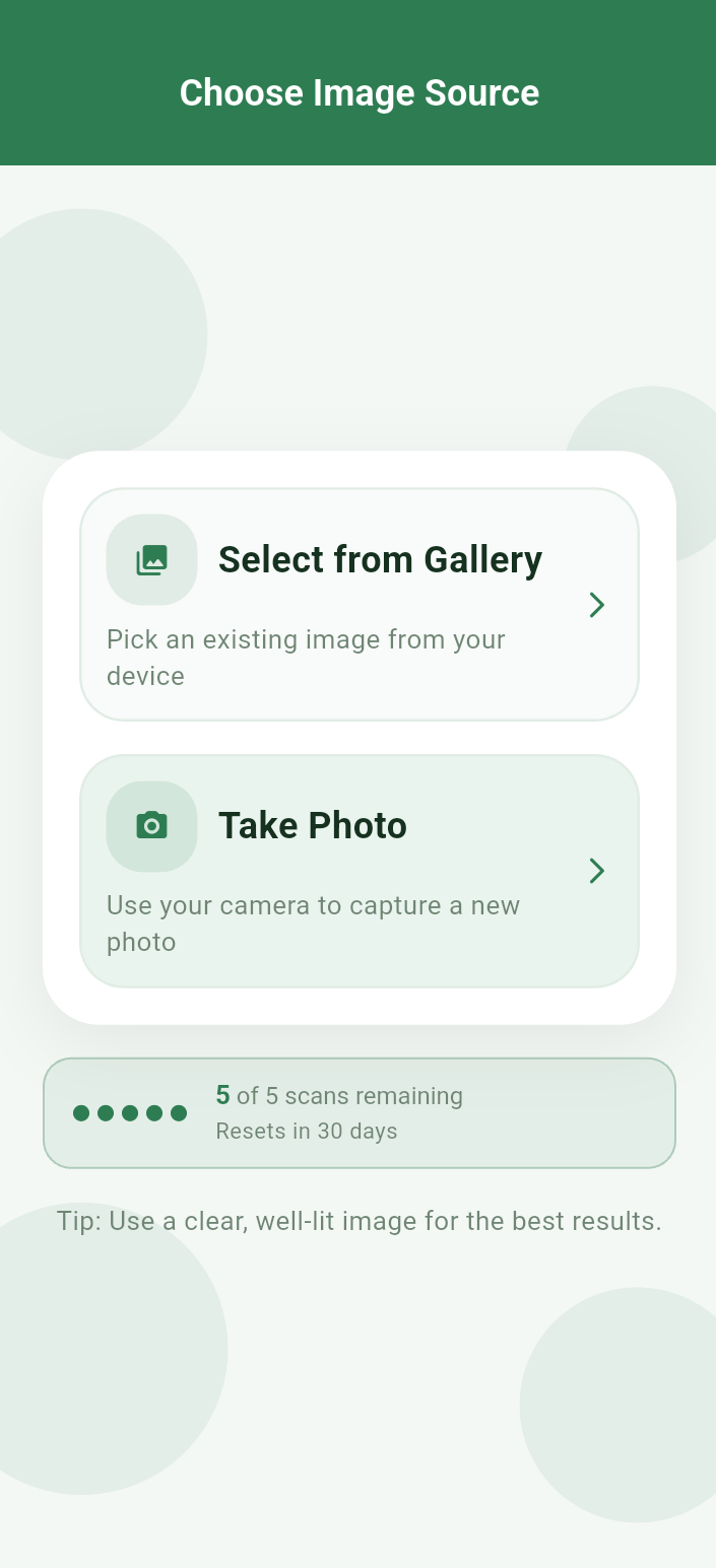 Cocoa Eye AI gallery image 3